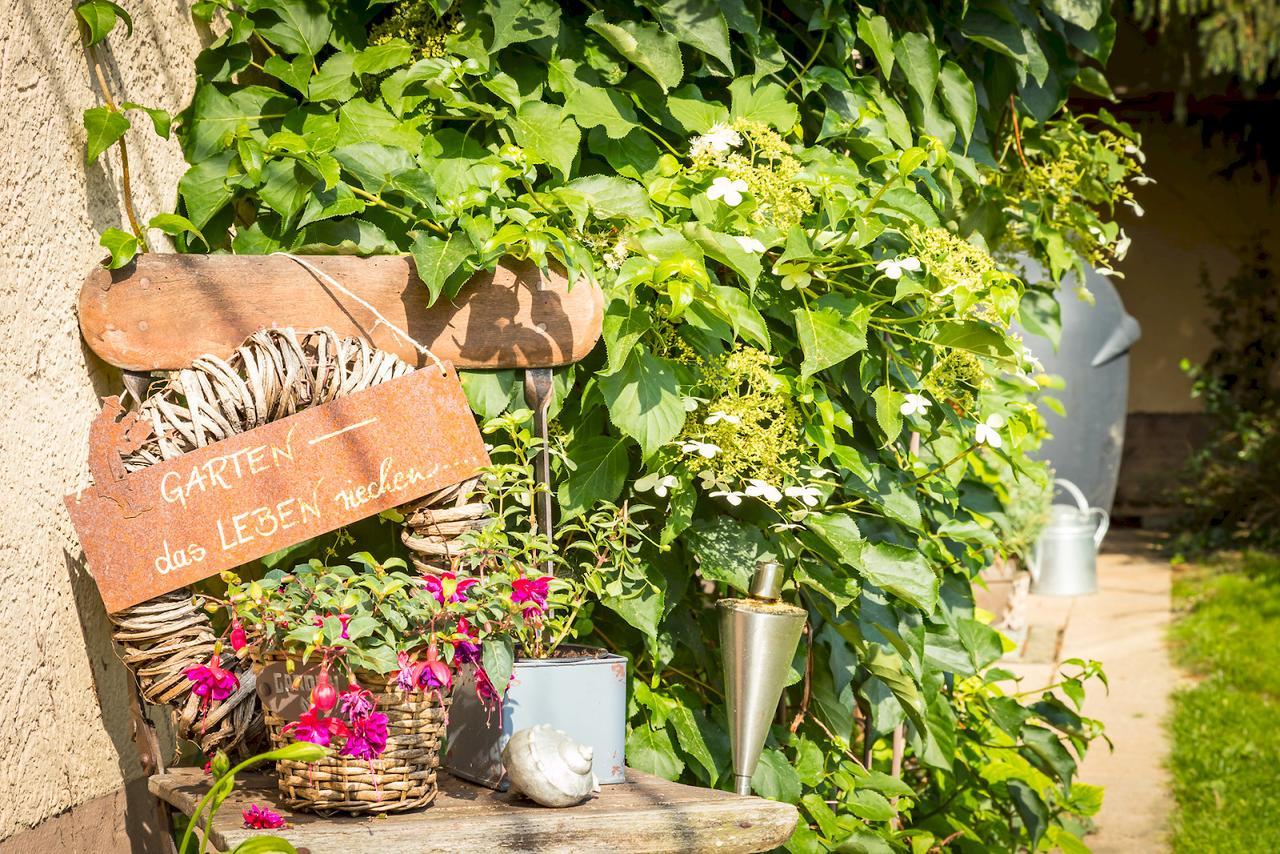 Ferienwohnung Auszeit Markdorf Exteriör bild